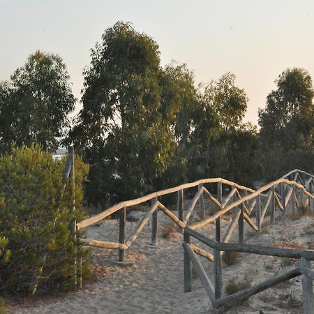 Residencial El Pinet Beach Ла-Марина Екстер'єр фото