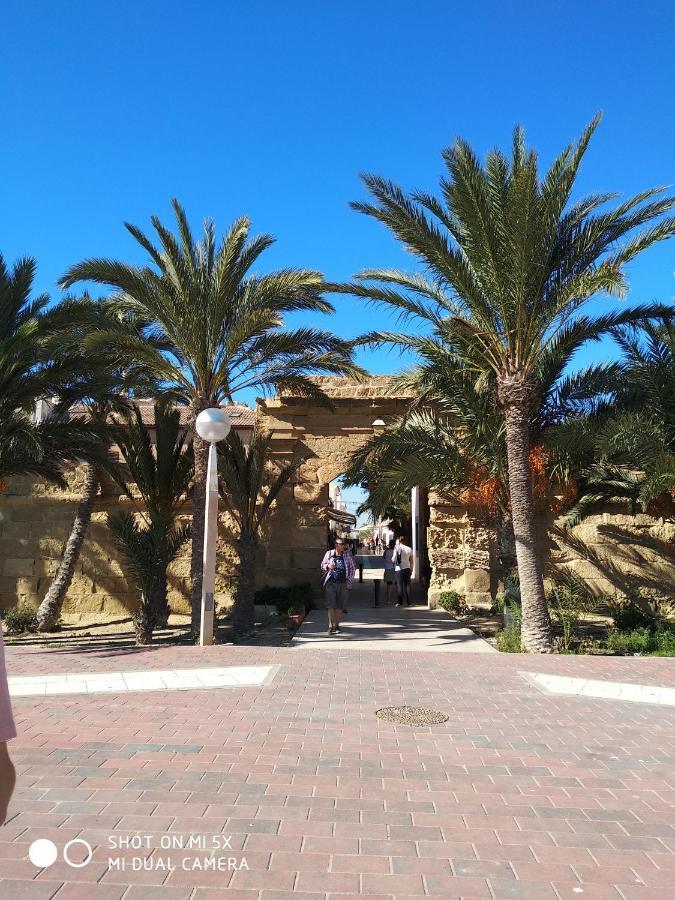 Residencial El Pinet Beach Ла-Марина Екстер'єр фото